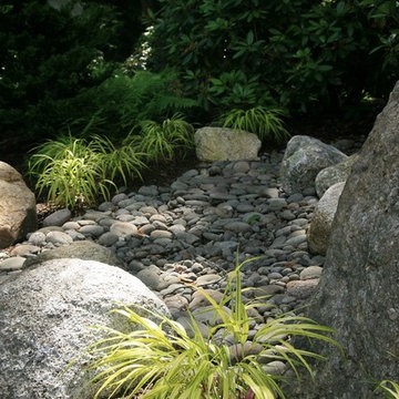 Dry creek bed