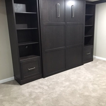 Contemporary Basement Remodel