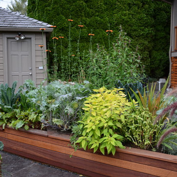 Raised Vegetable / Ornamental Garden