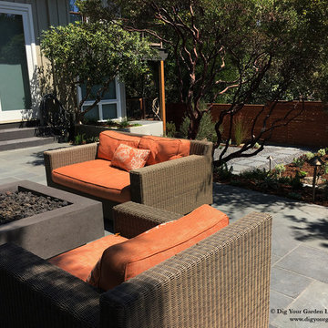 Contemporary Landscape and Exterior Remodel in Kentfield, CA