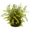 Mixed Fern With Twig and Moss Basket, Green