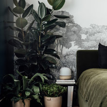 - bedroom