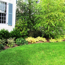 Foundation Plantings