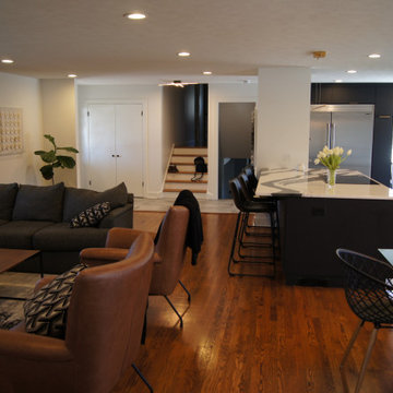 District 66 Kitchen Remodel
