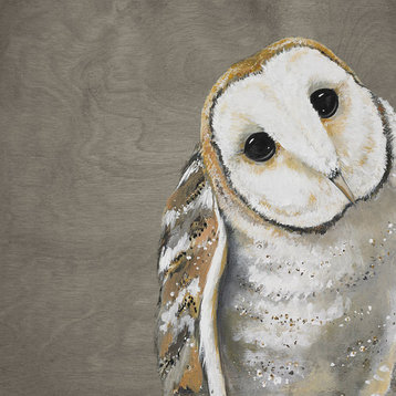 "Sweet Barn Owl" Stretched Canvas Wall Art by Karin Grow, 14"x14"