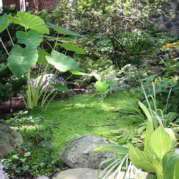 Sensational Shade Gardens
