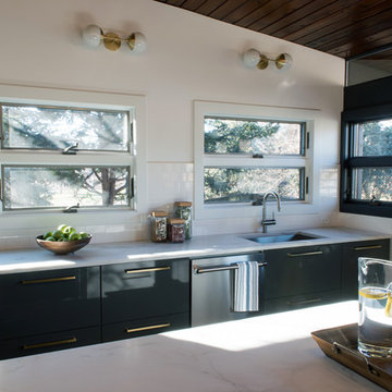 Park Ridge Midcentury Modern Renovation