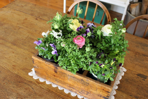 Country  by RedAgape Blog