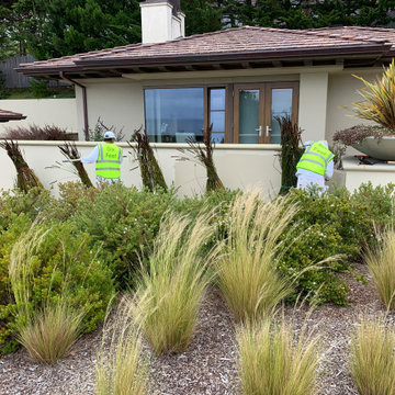 Exterior Paint- Working Safely During Covid-19 Pandemic