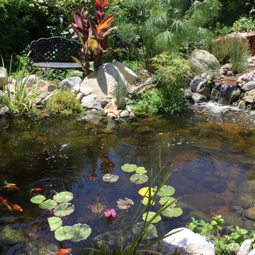 Tranquil Paradise