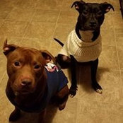 Gailn Moyer's photo