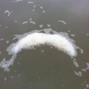 Amy Bailey's photo