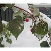 Lisa Miller's photo