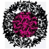 Marta Cane's photo