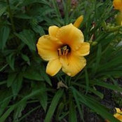 Jeanette Wibright's photo