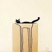 Lisa Knoll's photo