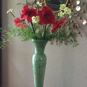 Margie Camarillo's photo