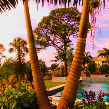 Tropical Modern