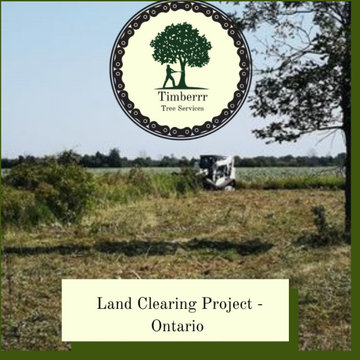 Land Clearing in West Lincoln Ontario