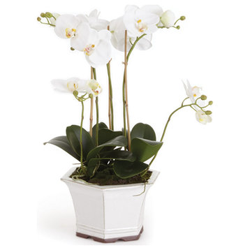 Barclay Butera White Orchid in Ceramic Pot, Pot: 9.5 X 9.5 X 5