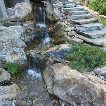 Amazing Backyard Pond