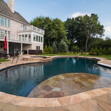 Freeform Pool in Libertyville, IL