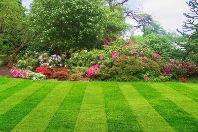 Design ideas for a landscaping in Minneapolis.