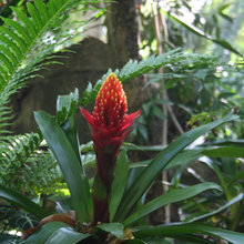 Notes: Horticulture