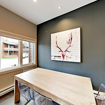 Mountain Modern Condominium