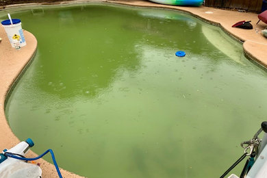 Schwimmteich hinter dem Haus in individueller Form mit Granitsplitt in Dallas