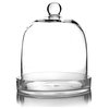 CYS Excel Glass Dome Cloche Terrarium Bell Jar with Glass Tray, H-11", D-8.75",
