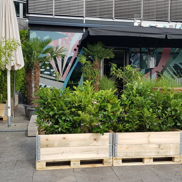 Mietpflanzen Urban Line