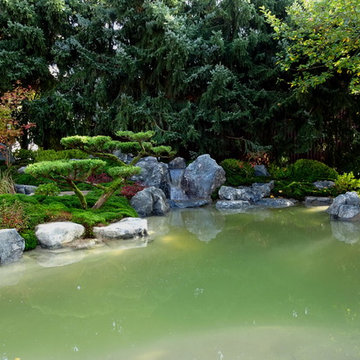 Moosgarten mit Teich und Wasserfall in Gießen