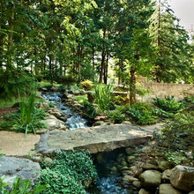Landscape Ideas