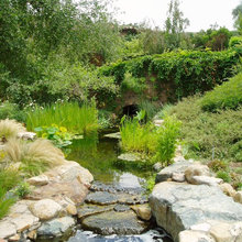 landscape paradise