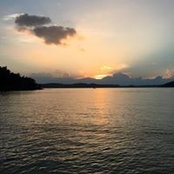 Jane Selking's photo