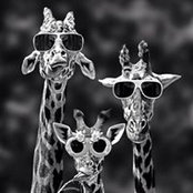 Katie White's photo