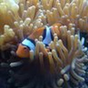Christina P. in AZ's photo