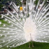 Roberta Parisini's photo