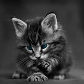 Aicha Guess's photo