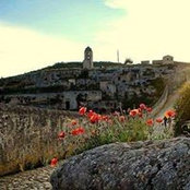Grazia Cataldi's photo