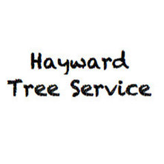 Hayward Tree Service