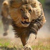 محمد الأدريسي's photo