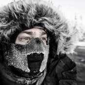 Luc Roymans's photo