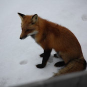 Daniel Raymond's photo