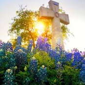 Kim Sisson's photo