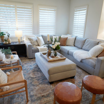 San Elijo Hills Furnishing Project