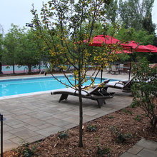 paver design