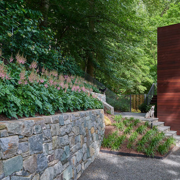 Virginia Contemporary