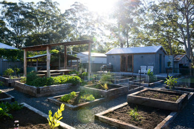 Imagen de jardín campestre de tamaño medio en patio trasero con huerto